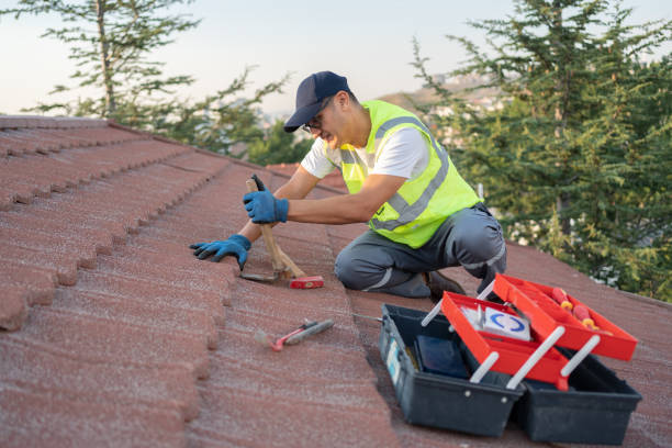 Best Roof Leak Repair  in Suitland, MD